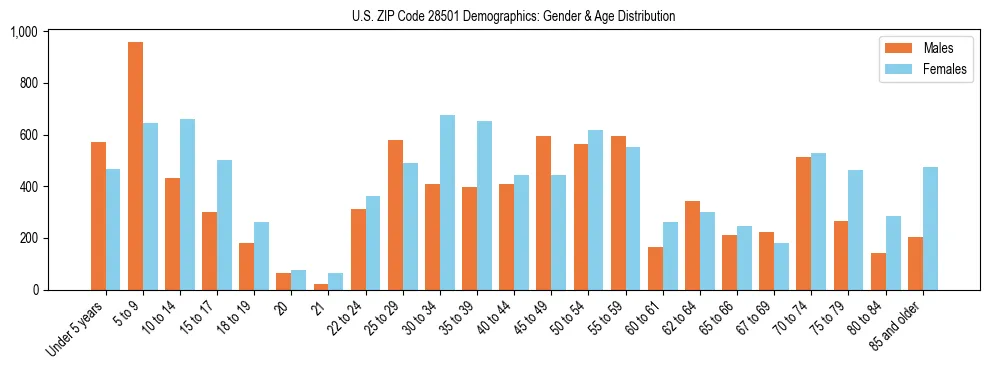 Bar chart showing the population distribution of US ZIP Code 28501 by age group and gender, based on 2023 ACS data.