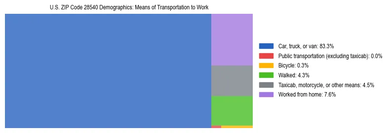 Treemap showing means of transportation to work distribution in US ZIP Code 28540.
