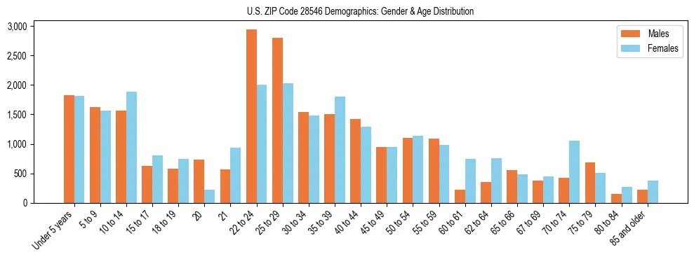Bar chart showing the population distribution of US ZIP Code 28546 by age group and gender, based on 2023 ACS data.