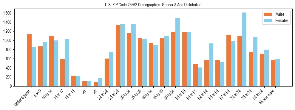 Bar chart showing the population distribution of US ZIP Code 28562 by age group and gender, based on 2023 ACS data.