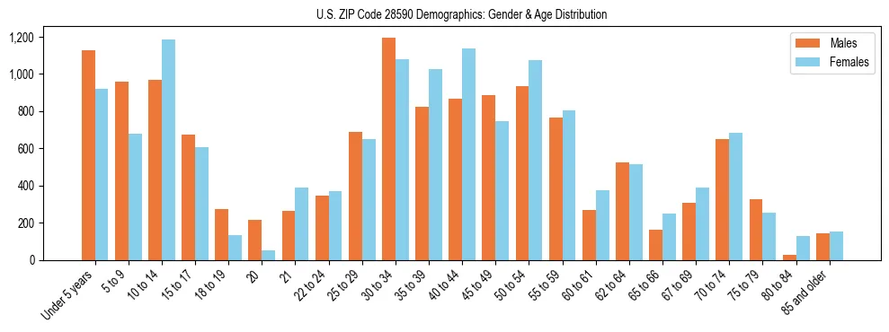 Bar chart showing the population distribution of US ZIP Code 28590 by age group and gender, based on 2023 ACS data.