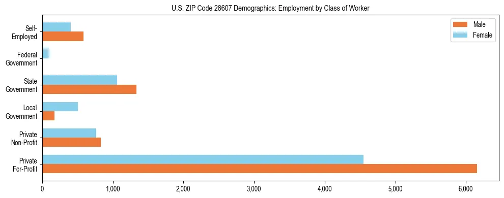 Horizontal bar chart showing employment distribution by class of worker and gender in US ZIP Code 28607, based on 2023 ACS data.