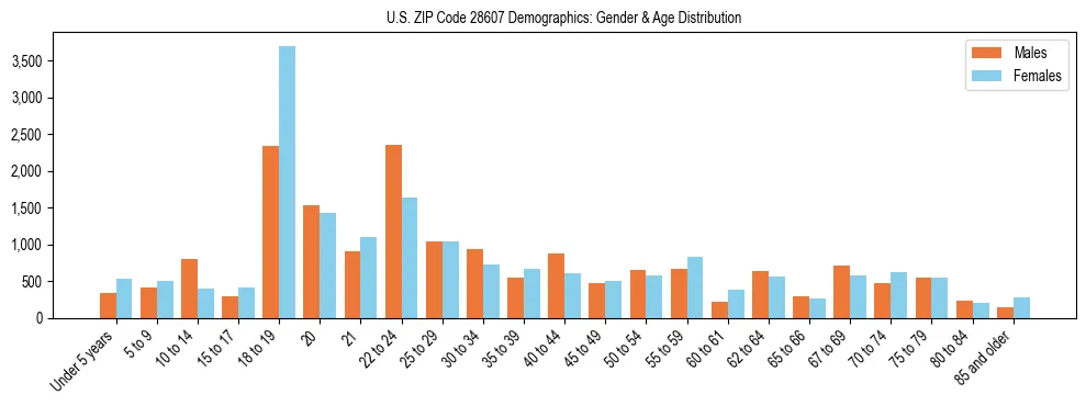 Bar chart showing the population distribution of US ZIP Code 28607 by age group and gender, based on 2023 ACS data.