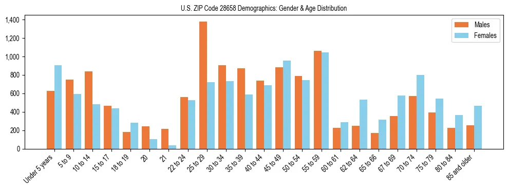 Bar chart showing the population distribution of US ZIP Code 28658 by age group and gender, based on 2023 ACS data.