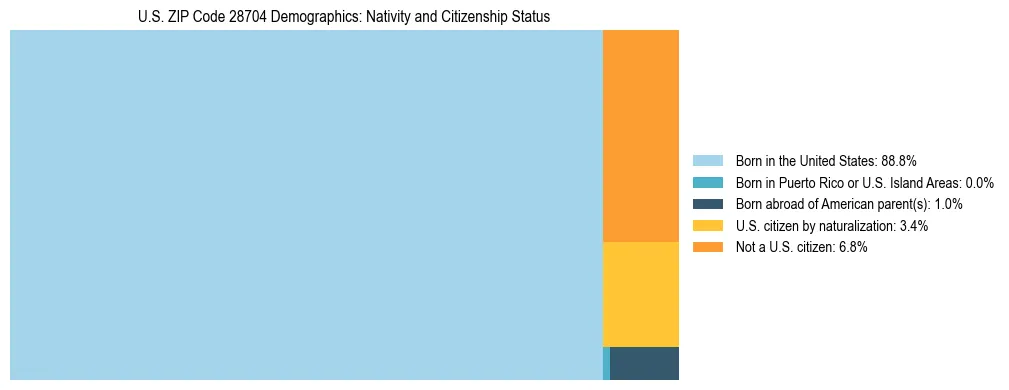 Treemap showing the population distribution by nativity and citizenship status in US ZIP Code 28704 based on U.S. Census data.
