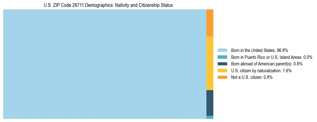 Treemap showing the population distribution by nativity and citizenship status in US ZIP Code 28711 based on U.S. Census data.