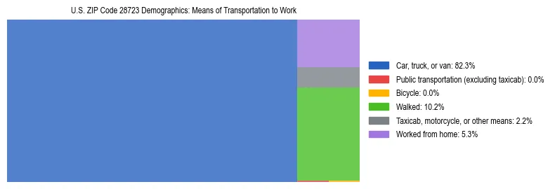 Treemap showing means of transportation to work distribution in US ZIP Code 28723.