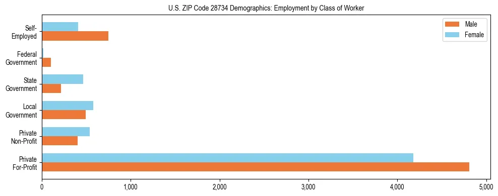 Horizontal bar chart showing employment distribution by class of worker and gender in US ZIP Code 28734, based on 2023 ACS data.