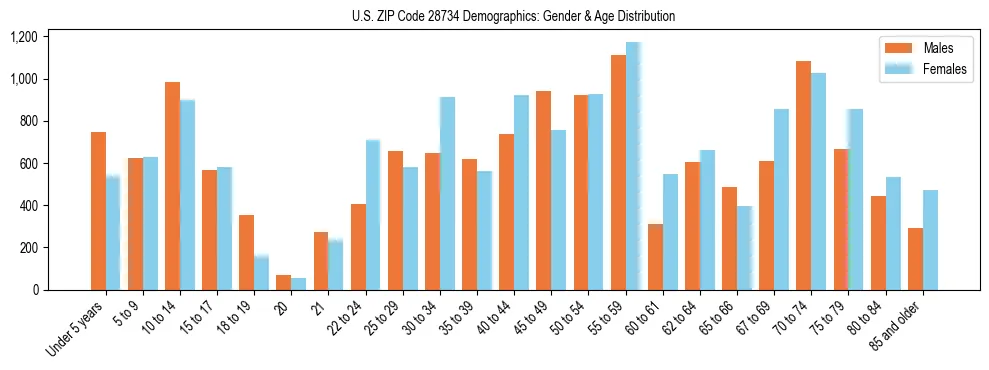 Bar chart showing the population distribution of US ZIP Code 28734 by age group and gender, based on 2023 ACS data.