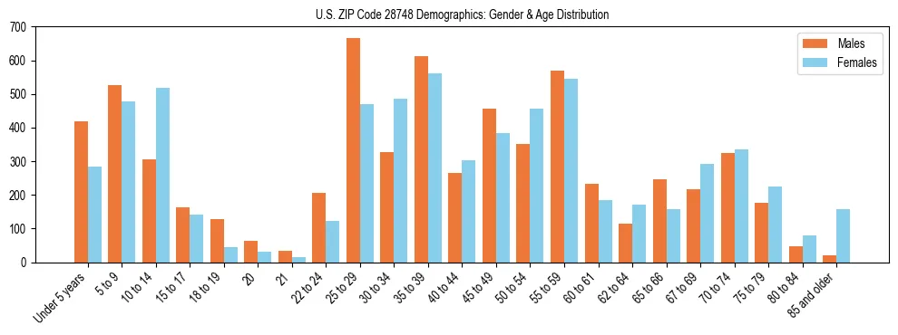 Bar chart showing the population distribution of US ZIP Code 28748 by age group and gender, based on 2023 ACS data.