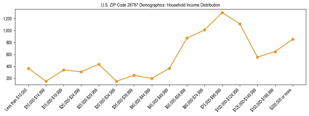 Horizontal bar chart showing household income distribution in US ZIP Code 28787.