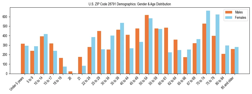 Bar chart showing the population distribution of US ZIP Code 28791 by age group and gender, based on 2023 ACS data.