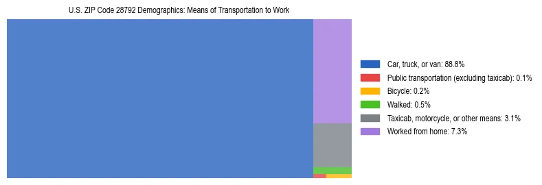 Treemap showing means of transportation to work distribution in US ZIP Code 28792.