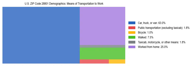 Treemap showing means of transportation to work distribution in US ZIP Code 28801.