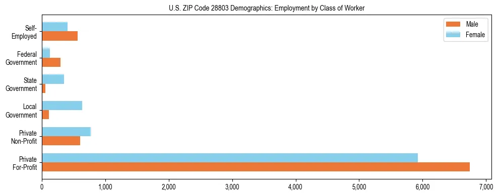 Horizontal bar chart showing employment distribution by class of worker and gender in US ZIP Code 28803, based on 2023 ACS data.