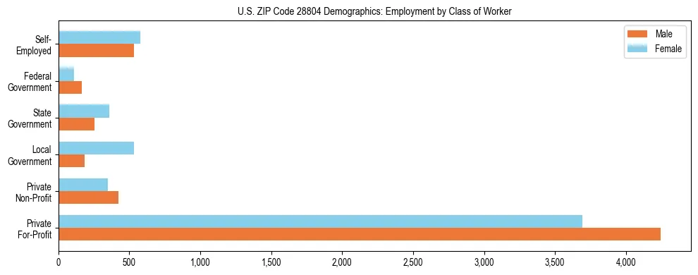 Horizontal bar chart showing employment distribution by class of worker and gender in US ZIP Code 28804, based on 2023 ACS data.