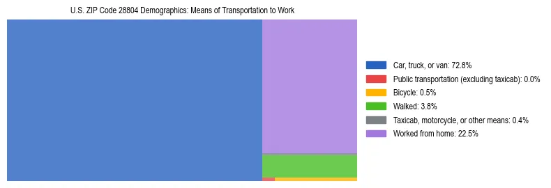Treemap showing means of transportation to work distribution in US ZIP Code 28804.