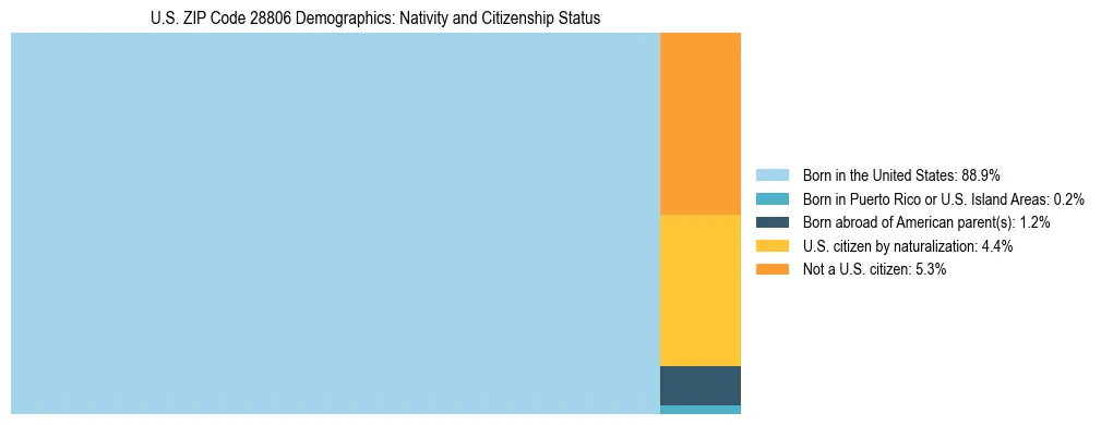 Treemap showing the population distribution by nativity and citizenship status in US ZIP Code 28806 based on U.S. Census data.
