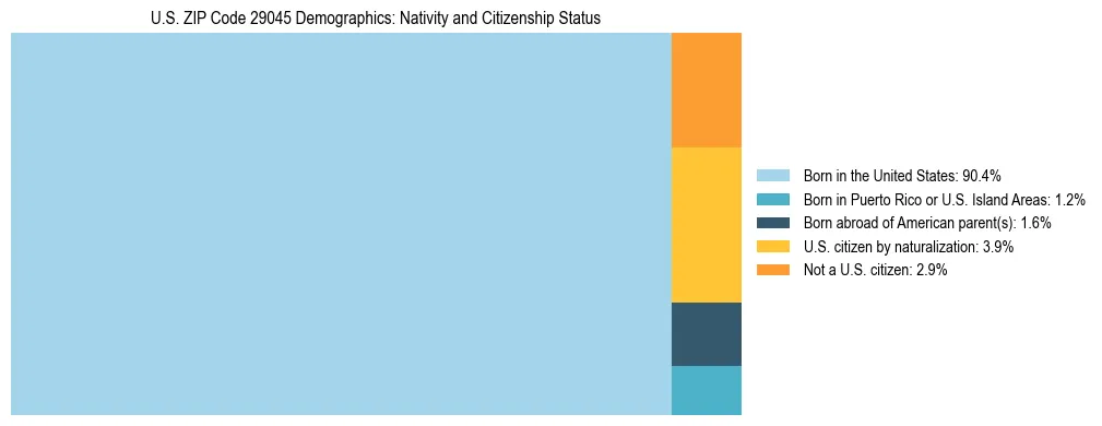 Treemap showing the population distribution by nativity and citizenship status in US ZIP Code 29045 based on U.S. Census data.