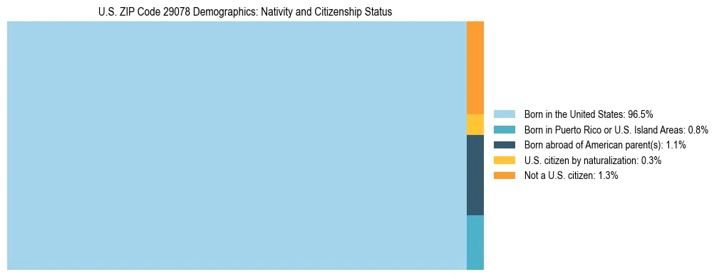 Treemap showing the population distribution by nativity and citizenship status in US ZIP Code 29078 based on U.S. Census data.