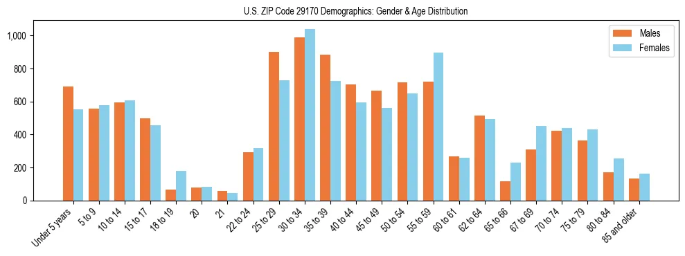 Bar chart showing the population distribution of US ZIP Code 29170 by age group and gender, based on 2023 ACS data.