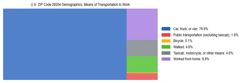 Treemap showing means of transportation to work distribution in US ZIP Code 29204.
