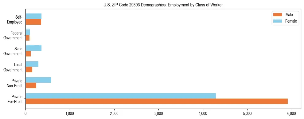 Horizontal bar chart showing employment distribution by class of worker and gender in US ZIP Code 29303, based on 2023 ACS data.