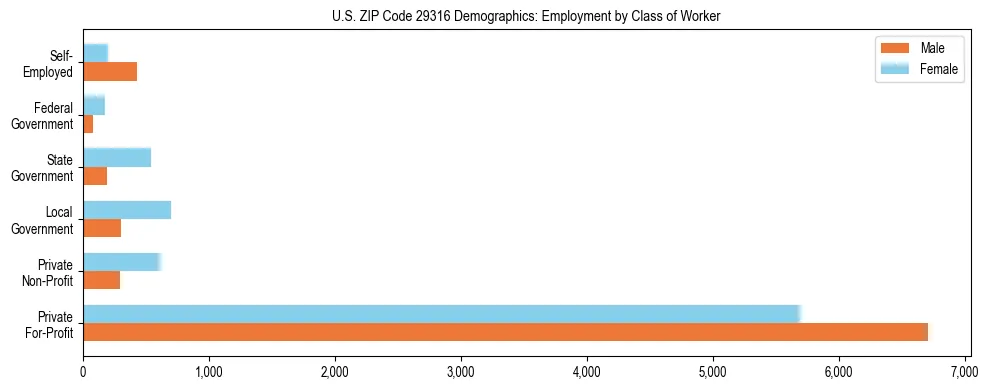 Horizontal bar chart showing employment distribution by class of worker and gender in US ZIP Code 29316, based on 2023 ACS data.