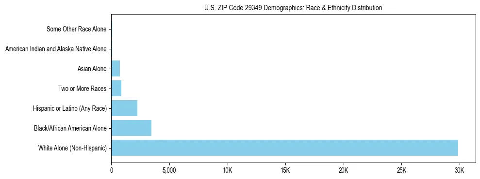 Race and Ethnicity Distribution Chart for US ZIP Code 29349