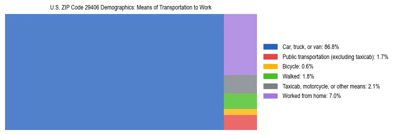 Treemap showing means of transportation to work distribution in US ZIP Code 29406.