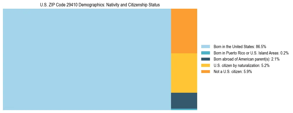 Treemap showing the population distribution by nativity and citizenship status in US ZIP Code 29410 based on U.S. Census data.