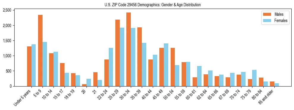 Bar chart showing the population distribution of US ZIP Code 29456 by age group and gender, based on 2023 ACS data.