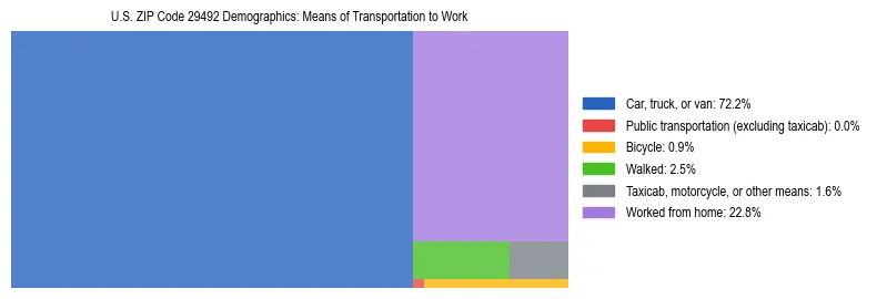 Treemap showing means of transportation to work distribution in US ZIP Code 29492.