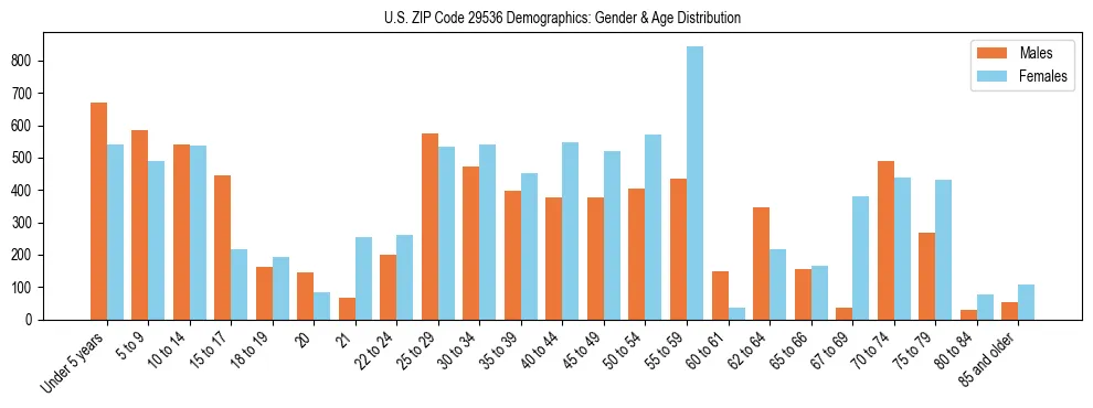 Bar chart showing the population distribution of US ZIP Code 29536 by age group and gender, based on 2023 ACS data.