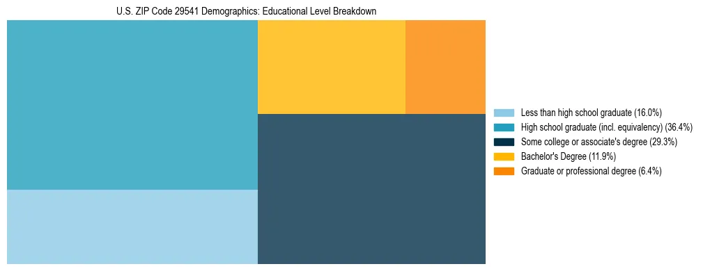 Treemap chart illustrating the educational attainment breakdown for population 25 years and over in US ZIP Code 29541.