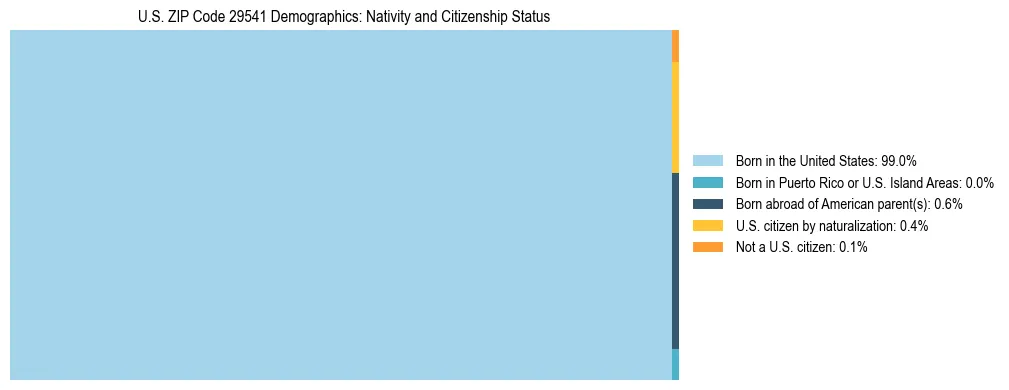 Treemap showing the population distribution by nativity and citizenship status in US ZIP Code 29541 based on U.S. Census data.