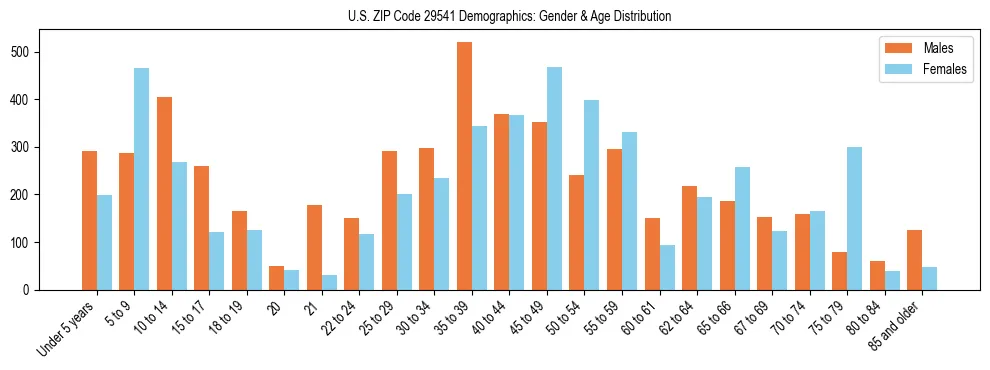 Bar chart showing the population distribution of US ZIP Code 29541 by age group and gender, based on 2023 ACS data.