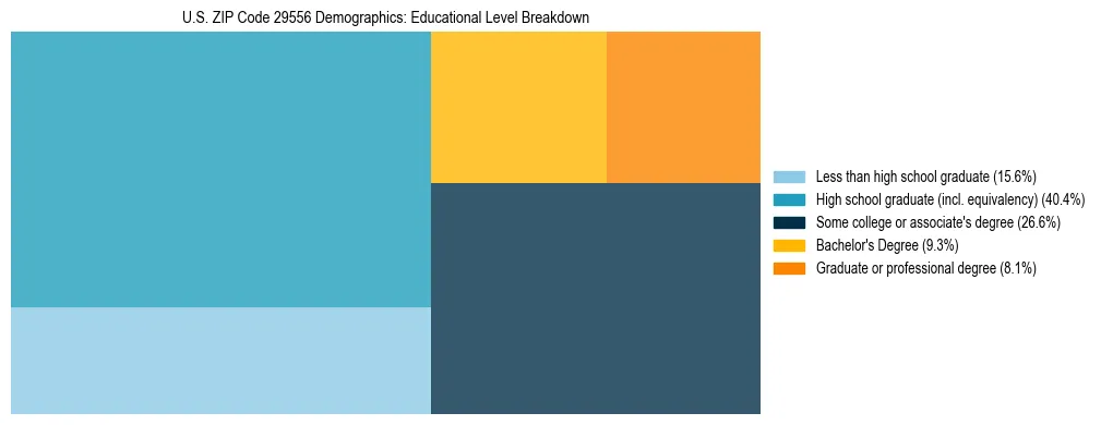 Treemap chart illustrating the educational attainment breakdown for population 25 years and over in US ZIP Code 29556.