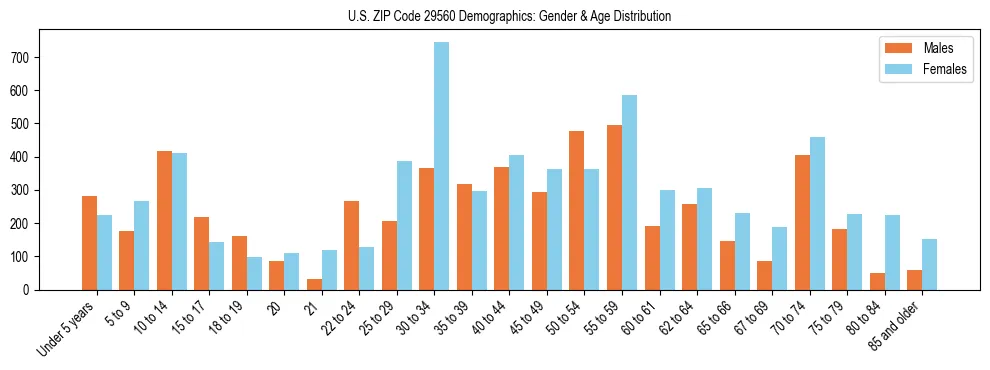 Bar chart showing the population distribution of US ZIP Code 29560 by age group and gender, based on 2023 ACS data.