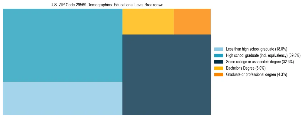 Treemap chart illustrating the educational attainment breakdown for population 25 years and over in US ZIP Code 29569.