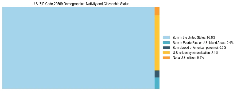 Treemap showing the population distribution by nativity and citizenship status in US ZIP Code 29569 based on U.S. Census data.