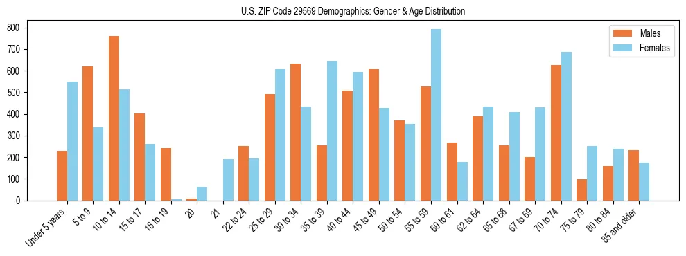 Bar chart showing the population distribution of US ZIP Code 29569 by age group and gender, based on 2023 ACS data.