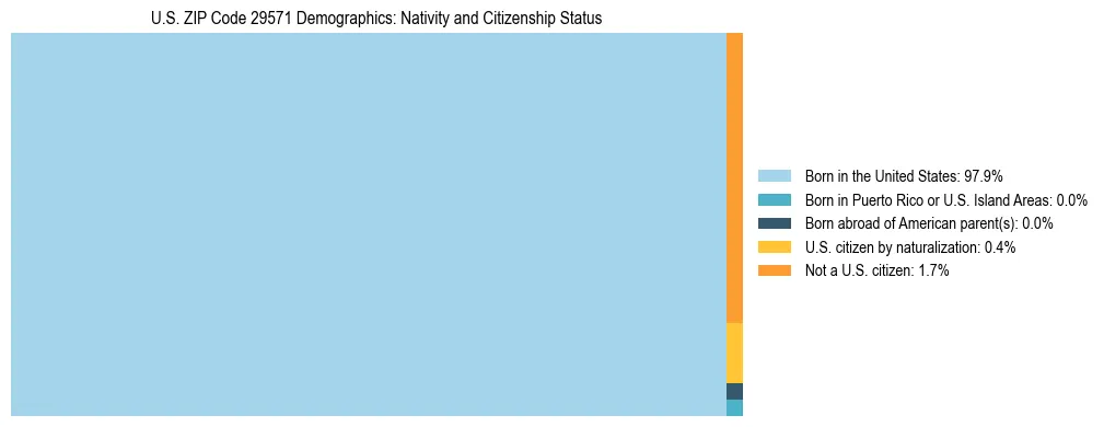 Treemap showing the population distribution by nativity and citizenship status in US ZIP Code 29571 based on U.S. Census data.