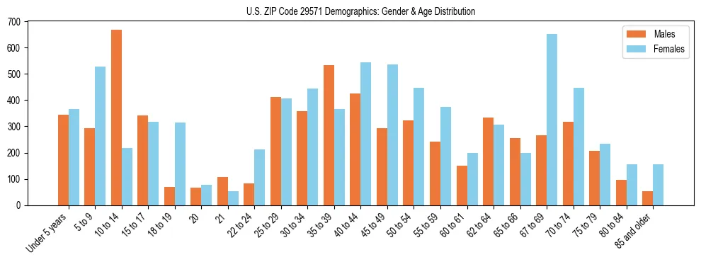 Bar chart showing the population distribution of US ZIP Code 29571 by age group and gender, based on 2023 ACS data.