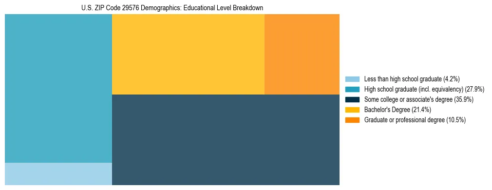 Treemap chart illustrating the educational attainment breakdown for population 25 years and over in US ZIP Code 29576.