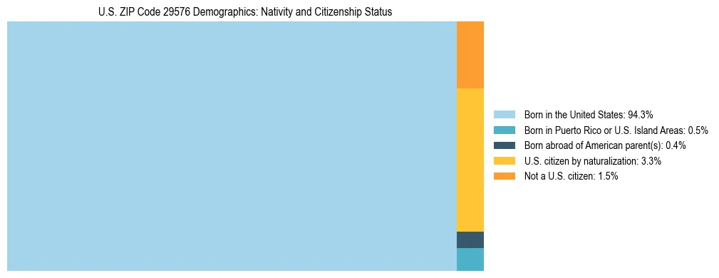 Treemap showing the population distribution by nativity and citizenship status in US ZIP Code 29576 based on U.S. Census data.