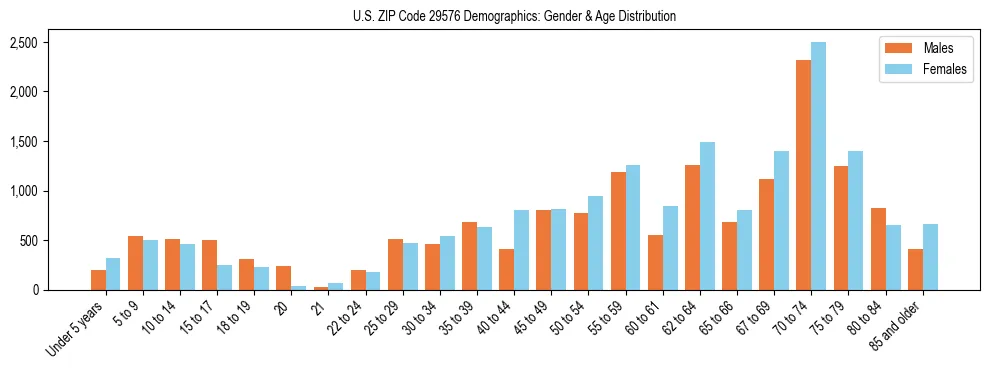 Bar chart showing the population distribution of US ZIP Code 29576 by age group and gender, based on 2023 ACS data.