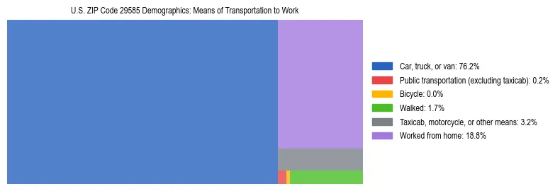 Treemap showing means of transportation to work distribution in US ZIP Code 29585.