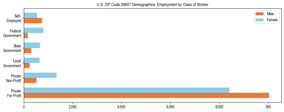Horizontal bar chart showing employment distribution by class of worker and gender in US ZIP Code 29607, based on 2023 ACS data.