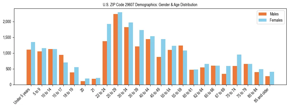 Bar chart showing the population distribution of US ZIP Code 29607 by age group and gender, based on 2023 ACS data.